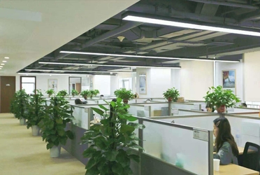 Porcellana Beijing Xingyuyang Trading Co., Ltd.