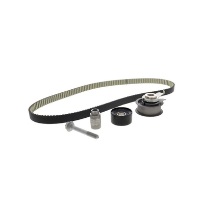 21SKV004 Scopo di sostituzione/riparazione Kit cintura della catena di controllo del motore per VW Audi 04E198119A