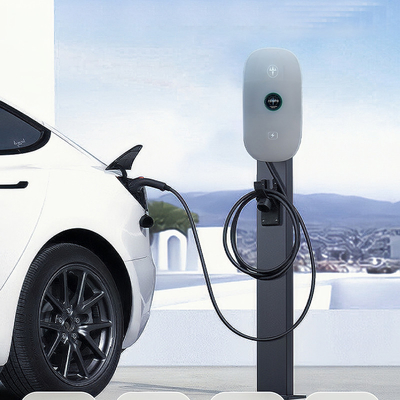 Stazione di ricarica AC EV montata a pavimento con una spina di tipo 2 opzionale per auto elettrica