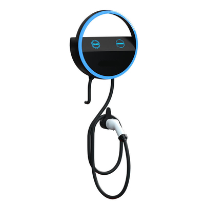 Stazione di ricarica per veicoli elettrici domestici da 17 kg