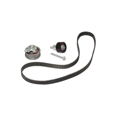 21SKV004 Kit cintura di orologeria OEM 04E198119 per BEETLE 9C1 Referenza originale N.O. 21SKV004